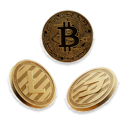 Bitcoin coin